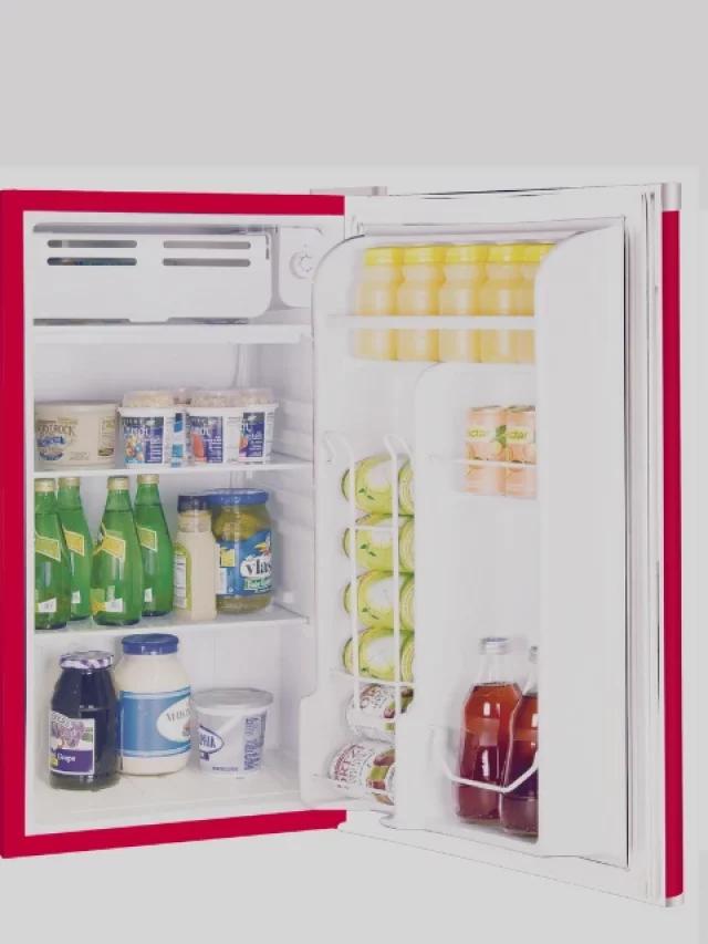 The 6 Best Mini Fridge To Have in Your House