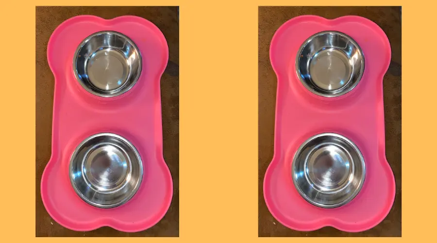 Stainless Steel Double Dog Food and Water Bowls