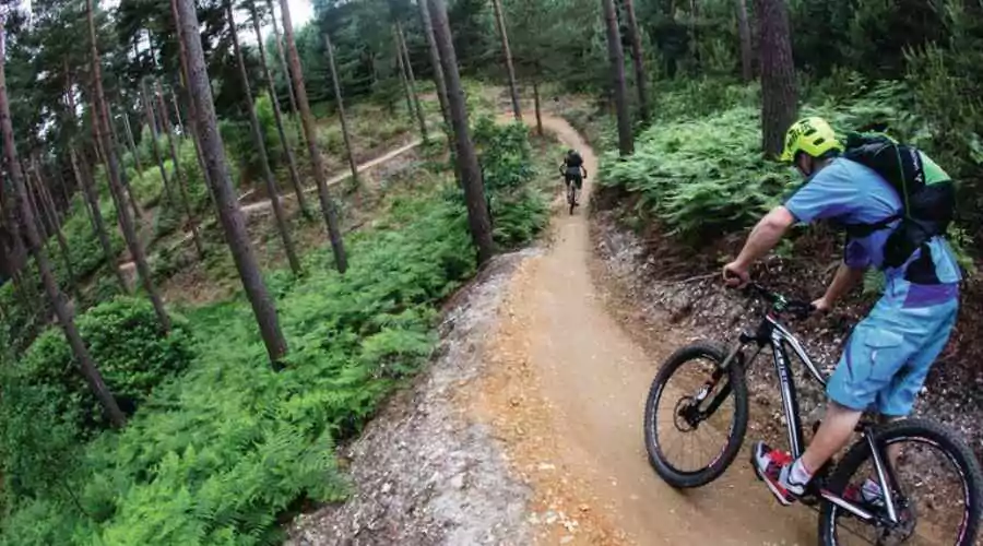 Go for a bike ride in Swinley Forest