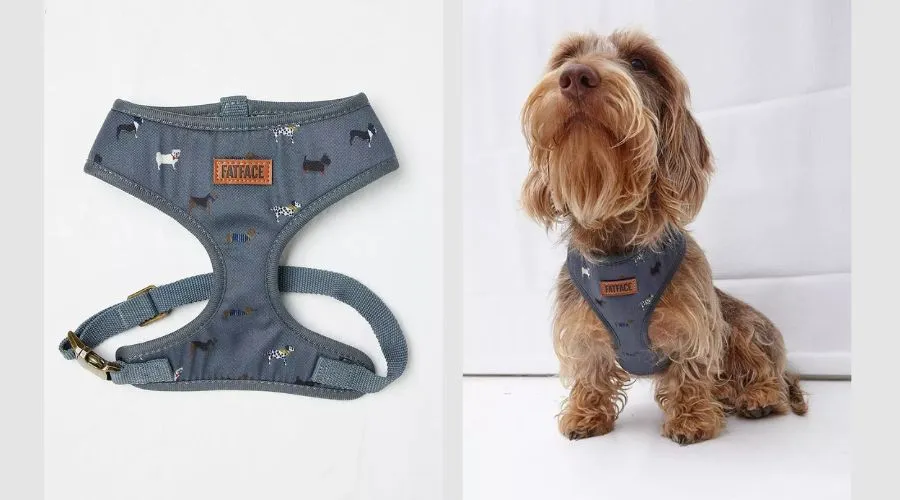 Marching Dogs Harness