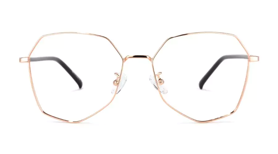 Metal Frames: Bivins Geometric Gold Glasses 