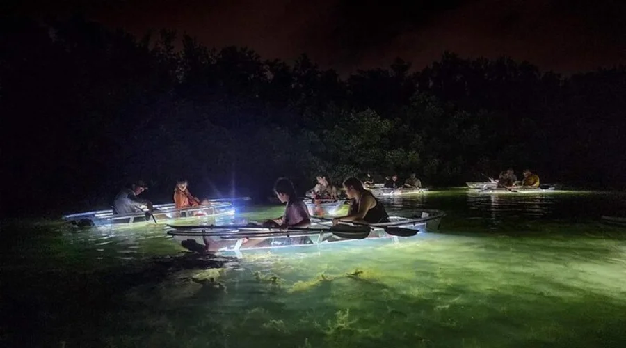 Clear Kayak LED Night Glass Bottom Tour - Siesta Key, FL