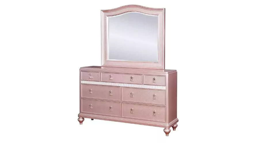 Arehart Contemporary Mirror Trim Dresses and Camelback Mirror Set