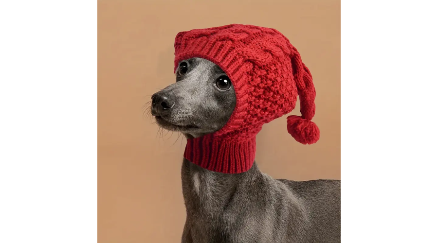 Winter Warmth Knitted Dog Hat
