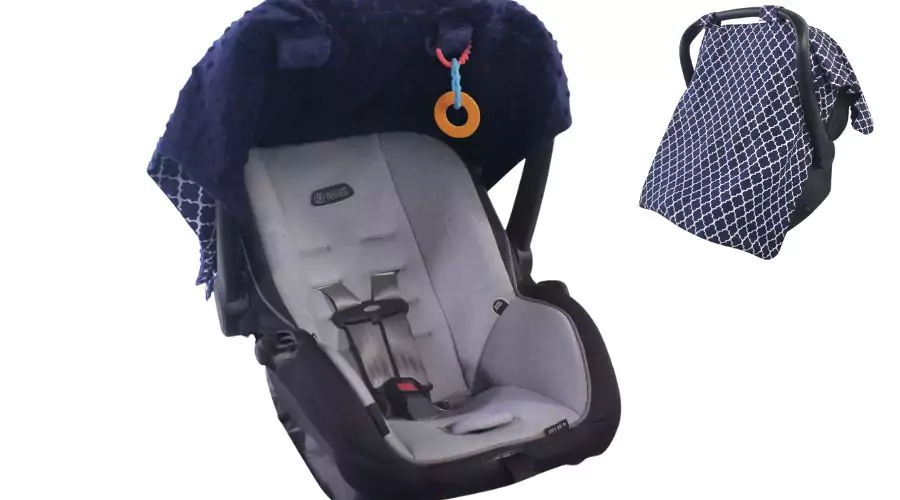 Hudson Baby Infant Girl Reversible Car Seat and Stroller Canopy