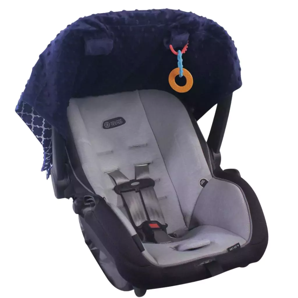 Hudson Baby Infant Girl Reversible Car Seat and Stroller Canopy