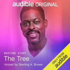 Best Drama Audiobooks to Surely Listen to (3)