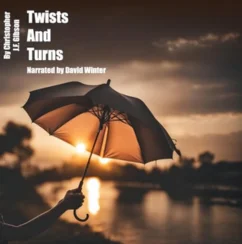 Full of Twists & Turns Audiobooks