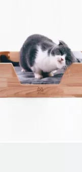 Fairyland - Solid Wood & Bamboo Cat Bed (3)