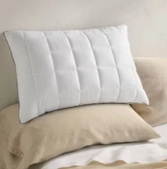 StandardQueen MediumFirm Machine Washable Plush Pillow White