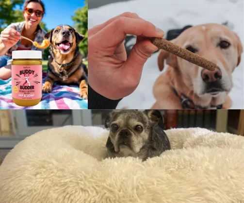 best pet products