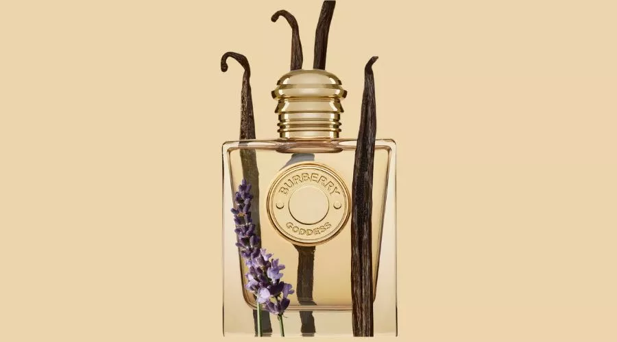 Best luxury perfumes for her | Oglooks