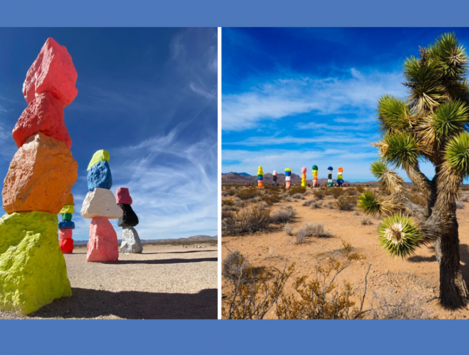 Las Vegas Desert Neon Dreams