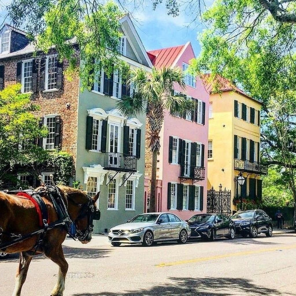 Untitled (445 x 649 px) (67)
